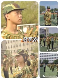 图片7 图片7