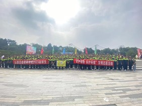 图片13 图片13