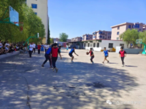 图片5 图片5
