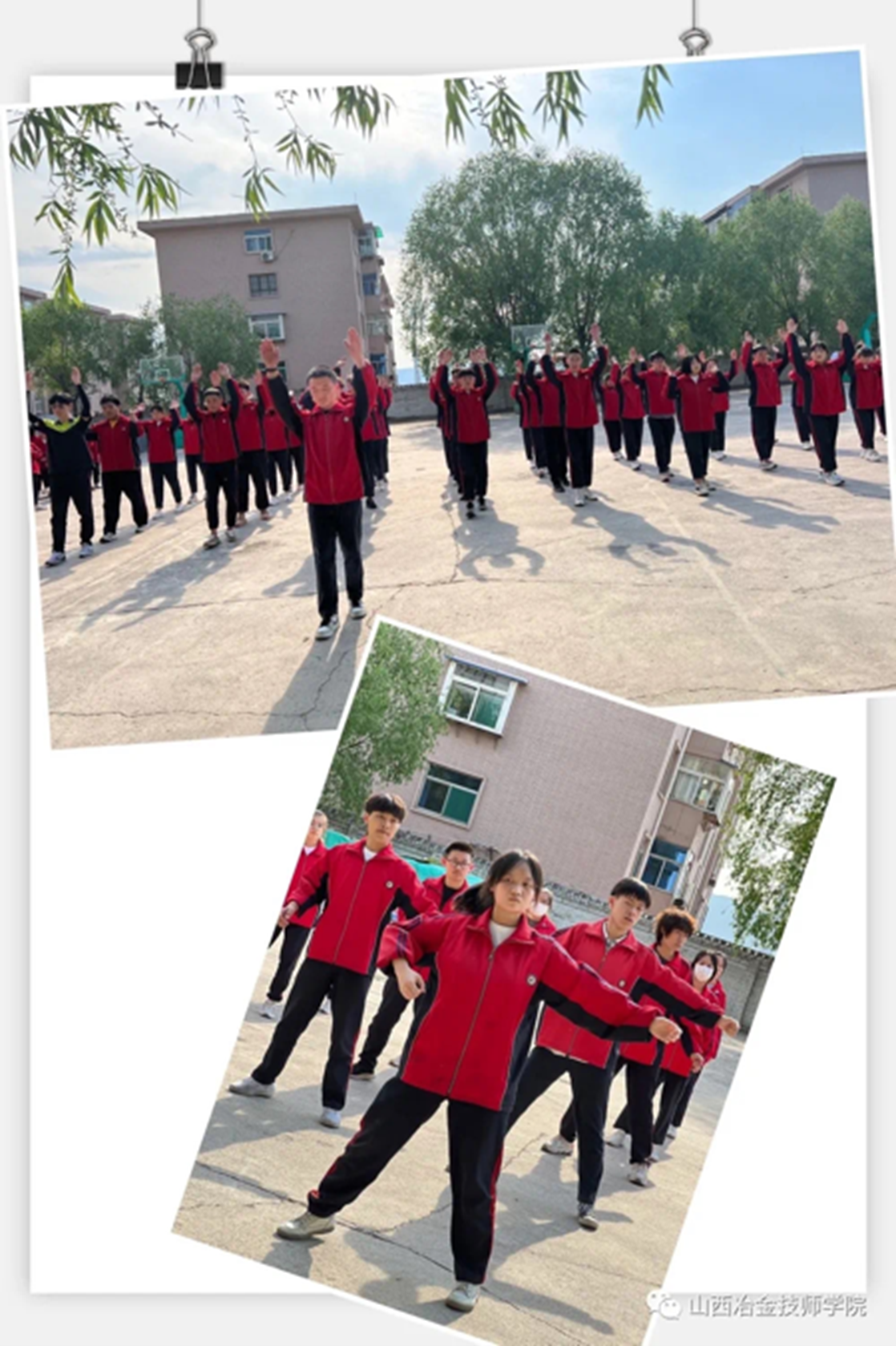 图片4 图片4